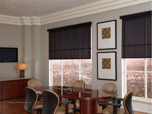 Load image into Gallery viewer, Lutron Roller Blinds