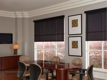 Load image into Gallery viewer, Lutron Roller Blinds
